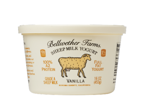 Bellwether Farms Sheep Milk Vanilla Yogurt Perspective: front