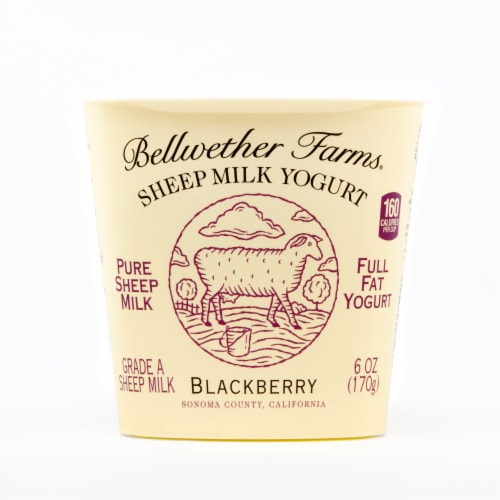 Bellwether Farms Blackberry Sheep Milk Yogurt Perspective: front
