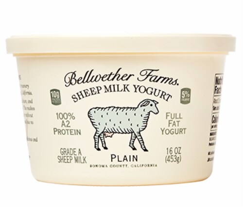 Bellwether Farms Plain Sheep Milk Yogurt Perspective: front