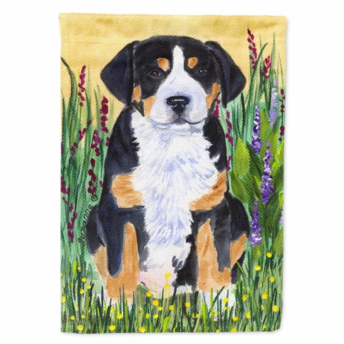 Carolines Treasures SS8217GF Greater Swiss Mountain Dog Flag