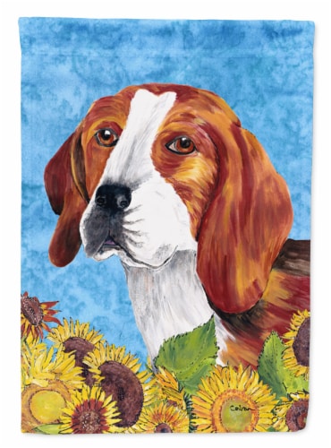 Carolines Treasures SC9067CHF Beagle in Summer Flowers House Flag Perspective: front
