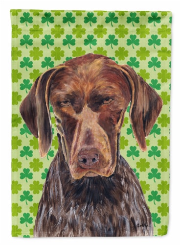 German Shorthaired Pointer St. Patrick's Day Shamrock Portrait Flag Canvas House Perspective: front