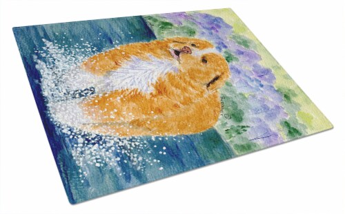 Carolines Treasures  SS8619LCB Nova Scotia Duck Toller Glass Cutting Board Large Perspective: front