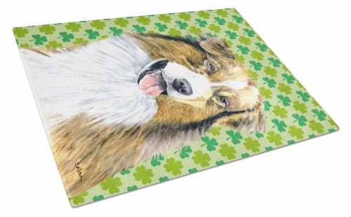 australian shepherd st patricks day