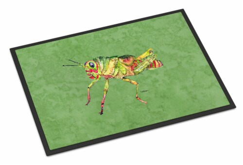 Carolines Treasures  8848MAT Grasshopper on Avacado Indoor or Outdoor Mat 18x27 Perspective: front