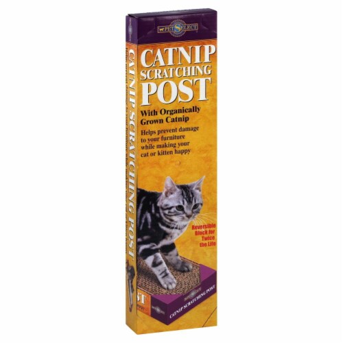 Pet Select Catnip Scratching Post Perspective: front