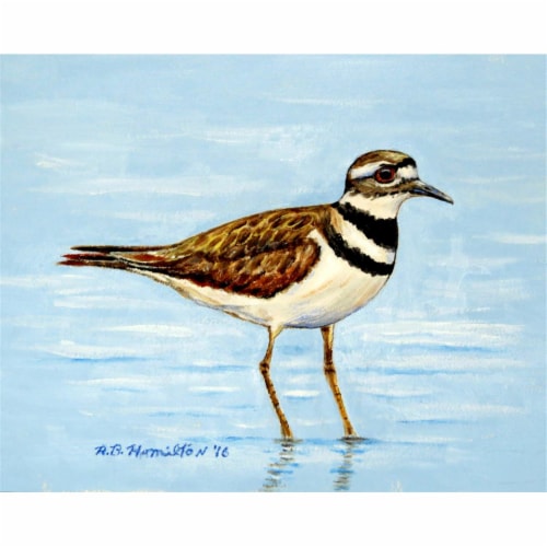 Betsy Drake PM546 Killdeer Place Mat - Set of 4 Perspective: front