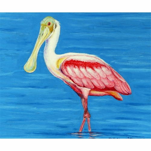 Betsy Drake PM549 Dicks Spoonbill Place Mat - Set of 4 Perspective: front
