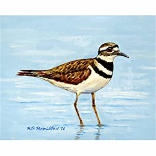 Betsy Drake DM546G 30 x 50 in. Killdeer Door Mat Perspective: front