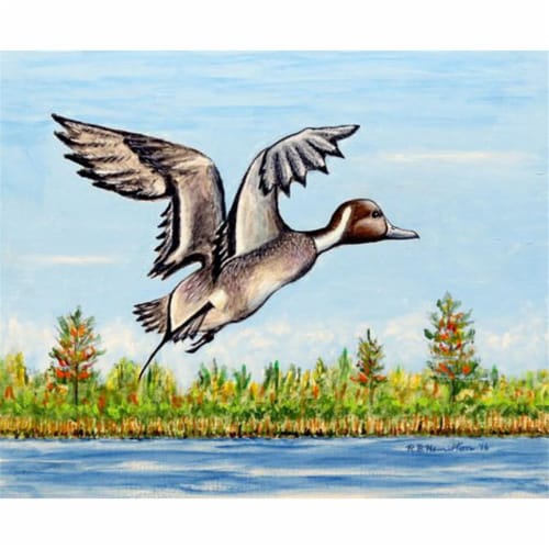 Betsy Drake PM394 Pintail Duck Place Mat - Set of 4 Perspective: front