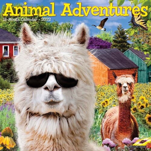 Animal Adventures 2022 Wall Calendar, 1 Kroger