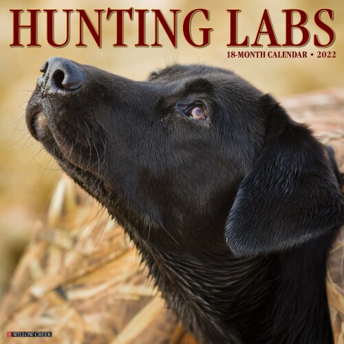 Hunting Labs 2022 Wall Calendar, (Labrador Retriever Dogs, Dog Breed