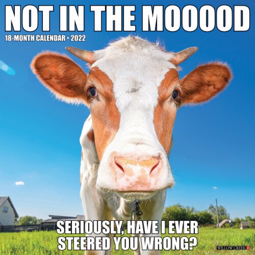Not In The Mooood 2022 Wall Calendar (Cows), 1 - Qfc