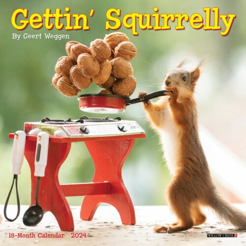 Willow Creek Press Gettin' Squirrelly 2024 Mini Wall Calendar Perspective: front