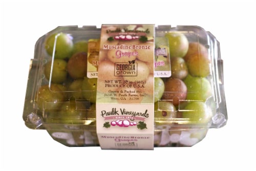 Paulk Vineyards Fresh Muscadine Bronze Grapes in Clamshell Perspective: front
