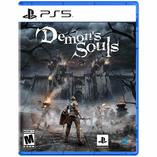 Demon's Souls (PlayStation 5) Perspective: front