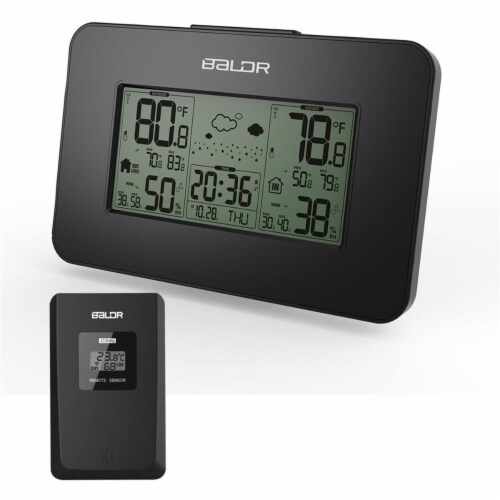 Baldr Temperature Sensor, Baldr Weather Station