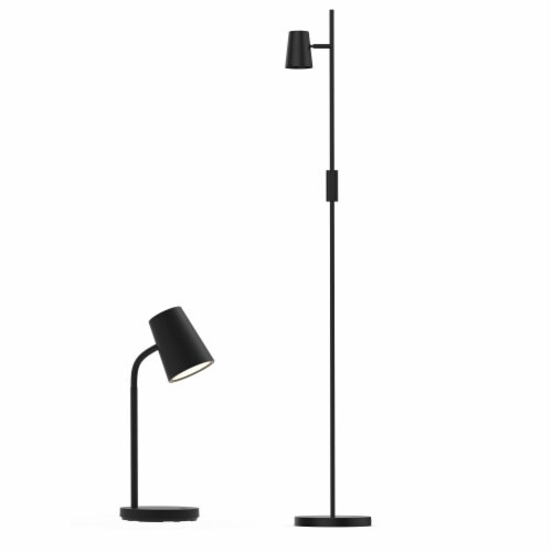LED 15  Adjustable Desk Lamp and LED 59.5  Floor Lamp in Black Perspective: front