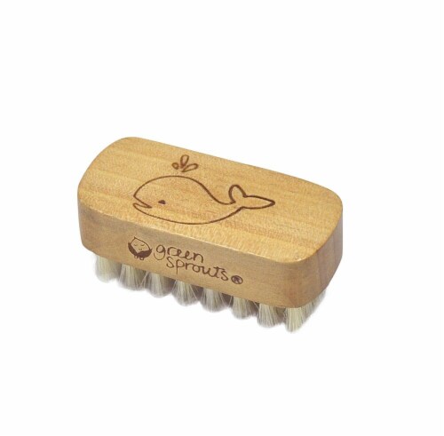 Green Sprouts Baby Nail Brush Perspective: front