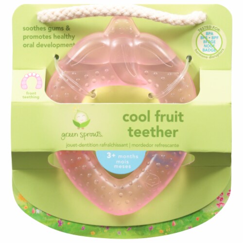 Green Sprouts Cooling Fruit Teether Perspective: front