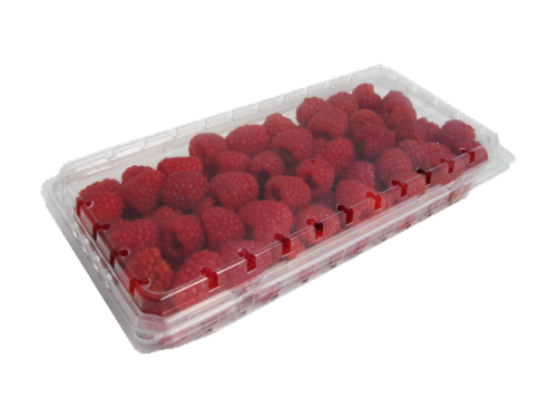 Raspberries