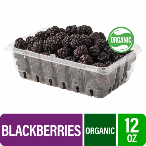 Fresh Organic Blackberries Perspective: front