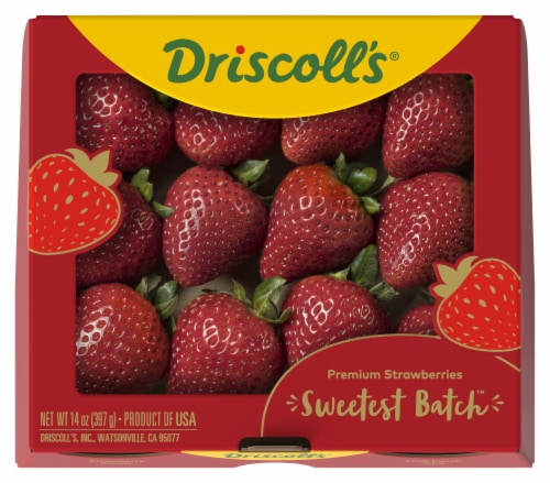 Driscoll's® Sweetest Batch Premium Strawberries Perspective: front