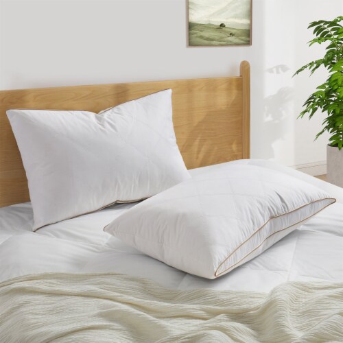 Downlite hotel style white goose down & feather blend pillow deals