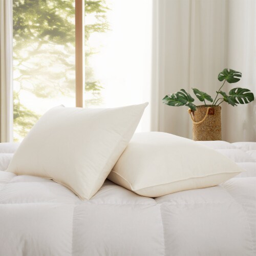 Organic Cotton Goose Down Feather Pillows Set Of 2 Dual Layer Sleeping Pillow Standard Standard QFC