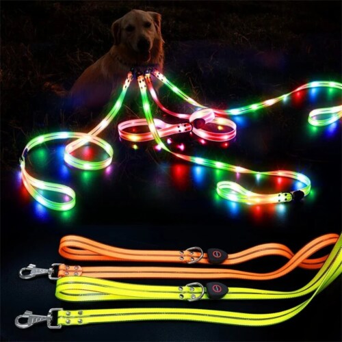 Light up dog collar and leash hot sale
