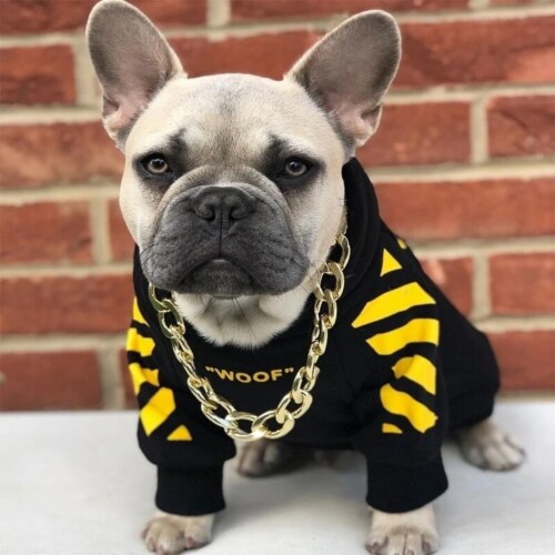 Adidog Stripe Pattern Hoodie French Bulldog Clothes S Kroger