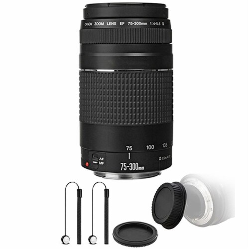 Canon Ef 75 300mm F 4 5 6 Iii Lens With Accessory Kit For Canon 77d And 80d 1 Mariano S