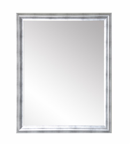 Modern Brushed Silver Accent Mirror Perspective: front