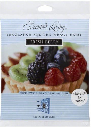 Puralife Scented Living Fresh Berry Air Filter Fragrance Perspective: front