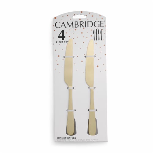 Cambridge Silversmiths Eliana Champagne Dinner Knife Flatware Set Perspective: front