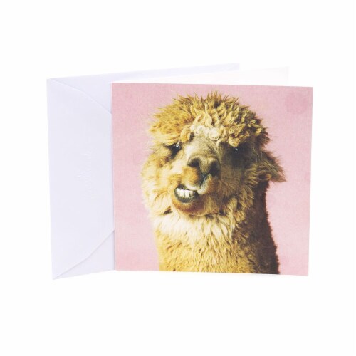 Hallmark  Studio Ink Birthday Card - Alpaca Perspective: front