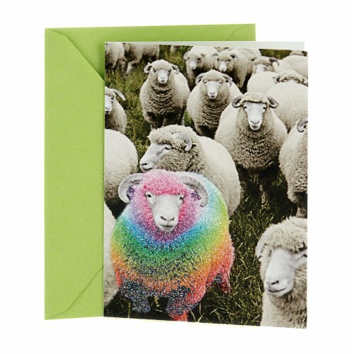 Hallmark  Shoebox Funny Birthday Card - Rainbow Sheep Perspective: front