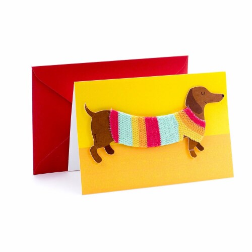 Hallmark  Signature Birthday Card - Dog in Sweater Perspective: front