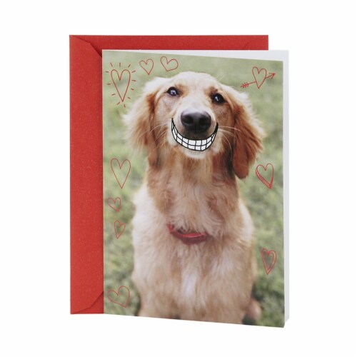 Fry S Food Stores Valentine S Day Card 40 Hallmark Shoebox