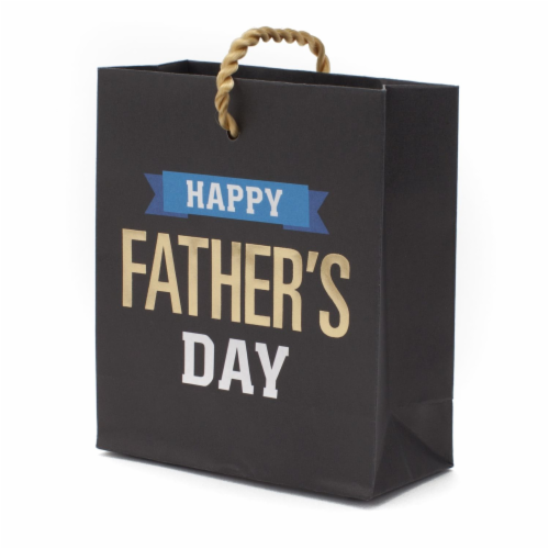Mini Gift Bag #84: Hallmark Father's Day Mini Gift Card Holder Bag Black Perspective: front