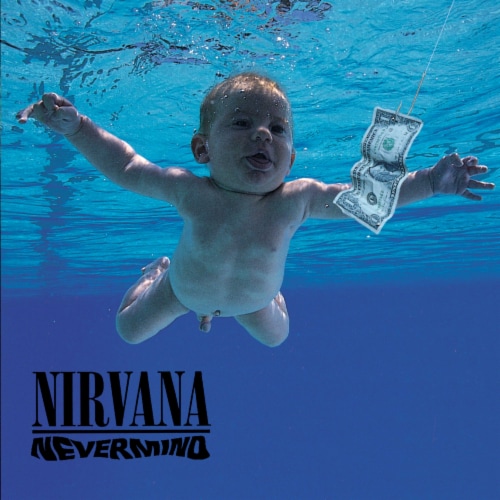 Nirvana Nevermind Vinyl, 1 ct - Fred Meyer