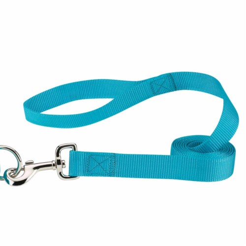 Casual Canine ZM2392 44 16 4 ft. x 0.62 in. Nylon Dog Leash Lead, Blue Perspective: front
