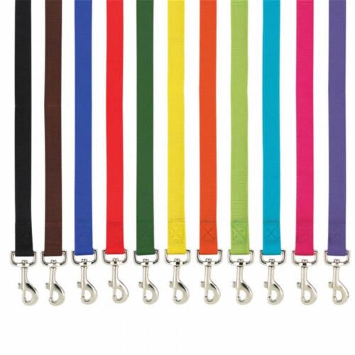 Casual Canine ZM2392 66 99 6 ft. x 1 in. Basic Nylon Dog Leash Lead, Yellow Perspective: front