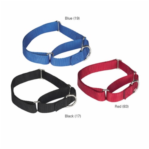 Guardian Gear ZA1513 18 83 GG Nylon Martingale Collar 18 26 In Red 1 Fry s Food Stores