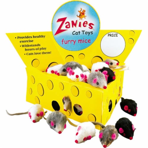 Zanies TP20116 Cheese Wedge Display Box with 60 Furry Mice Perspective: front