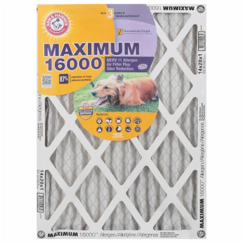 Arm & Hammer™ Max Odor Filter Perspective: front