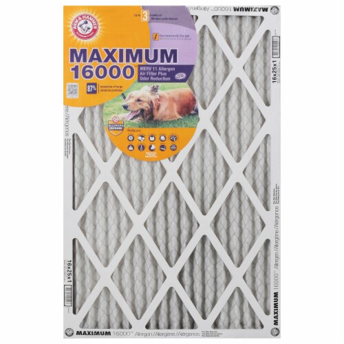 Arm and Hammer™ Maximum 16000™ Allergen Air Filter Perspective: front