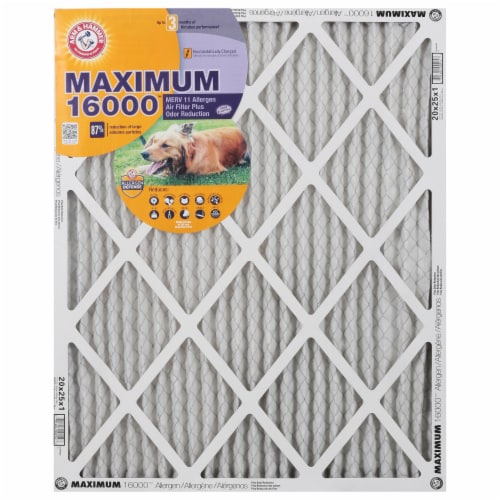 Arm & Hammer™ Maximum 16000 Allergen Air Filter Perspective: front
