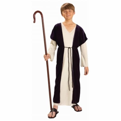 Forum NoveltiesBiblical Times Shepherd Costume, Child Small Perspective: front