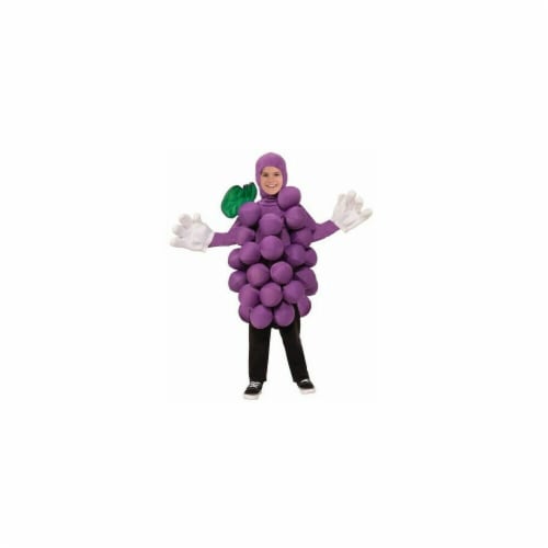 Forum Novelties Grapes Child Costume, One Size Costume Perspective: front